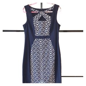 Sophisticated Dress ✨✨✨